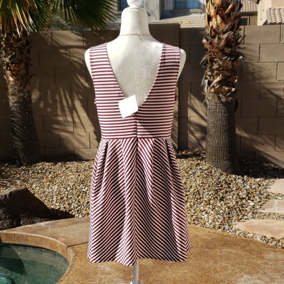 NEW Burgundy & White Fit & Flare Dress - Picture 5 of 6